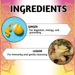 Lemon Ginger Shot Blood Orange Edition by Ayurvedic Yogi