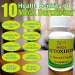 Mega Detoxifier