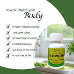 Mega Detoxifier