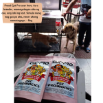 Gut Pro - Pet Probiotics