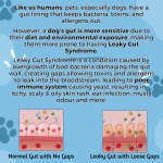 Gut Pro - Pet Probiotics