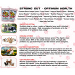 Gut Pro - Pet Probiotics