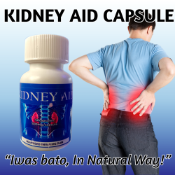 Kidney Aid Capsule