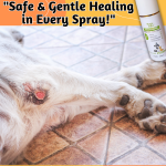 Pet Wound Spray