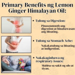 Lemon Ginger Himalayan Oil Lemon Ginger Himalayan Oil