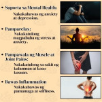 Lemon Ginger Himalayan Oil Lemon Ginger Himalayan Oil