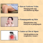 Lemon Ginger Himalayan Oil Lemon Ginger Himalayan Oil