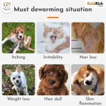 Pet Anti-Tick & Flea Treatment