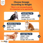 Pet Anti-Tick & Flea Treatment