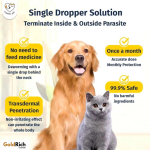 Pet Anti-Tick & Flea Treatment