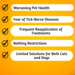 Pet Anti-Tick & Flea Treatment