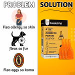 Pet Anti-Tick & Flea Treatment