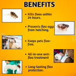 Pet Anti-Tick & Flea Treatment