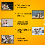 Pet Anti-Tick & Flea Treatment