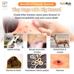 Pet Anti-Tick & Flea Treatment