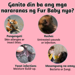 Pet Skin & Fur Spray