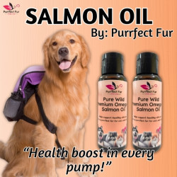 Salmon Oil by Purrfect Fur
