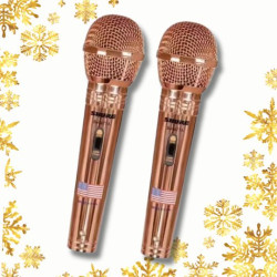 The VoiceMaster Mic